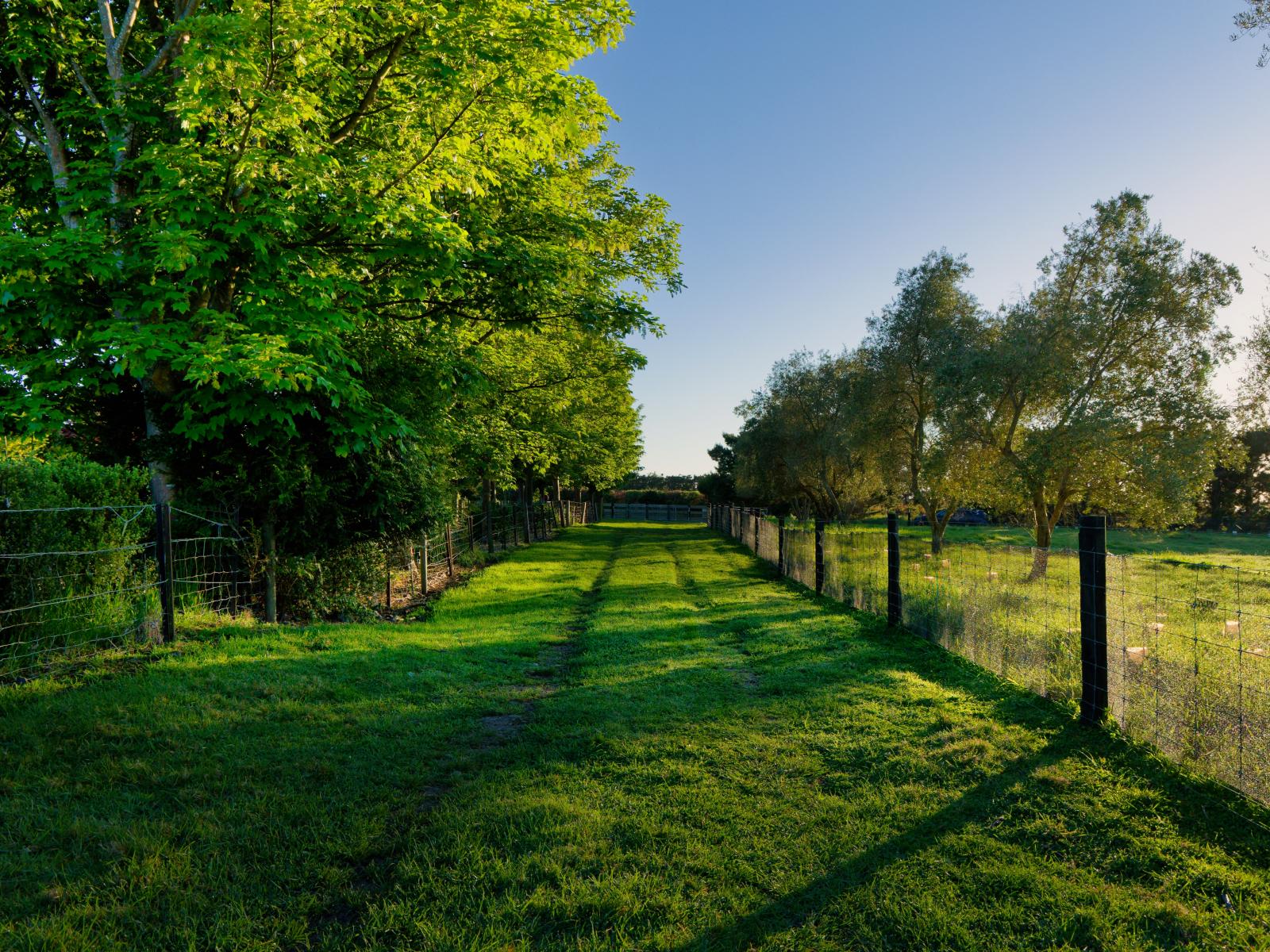 207 Lovers Lane, Kaikoura