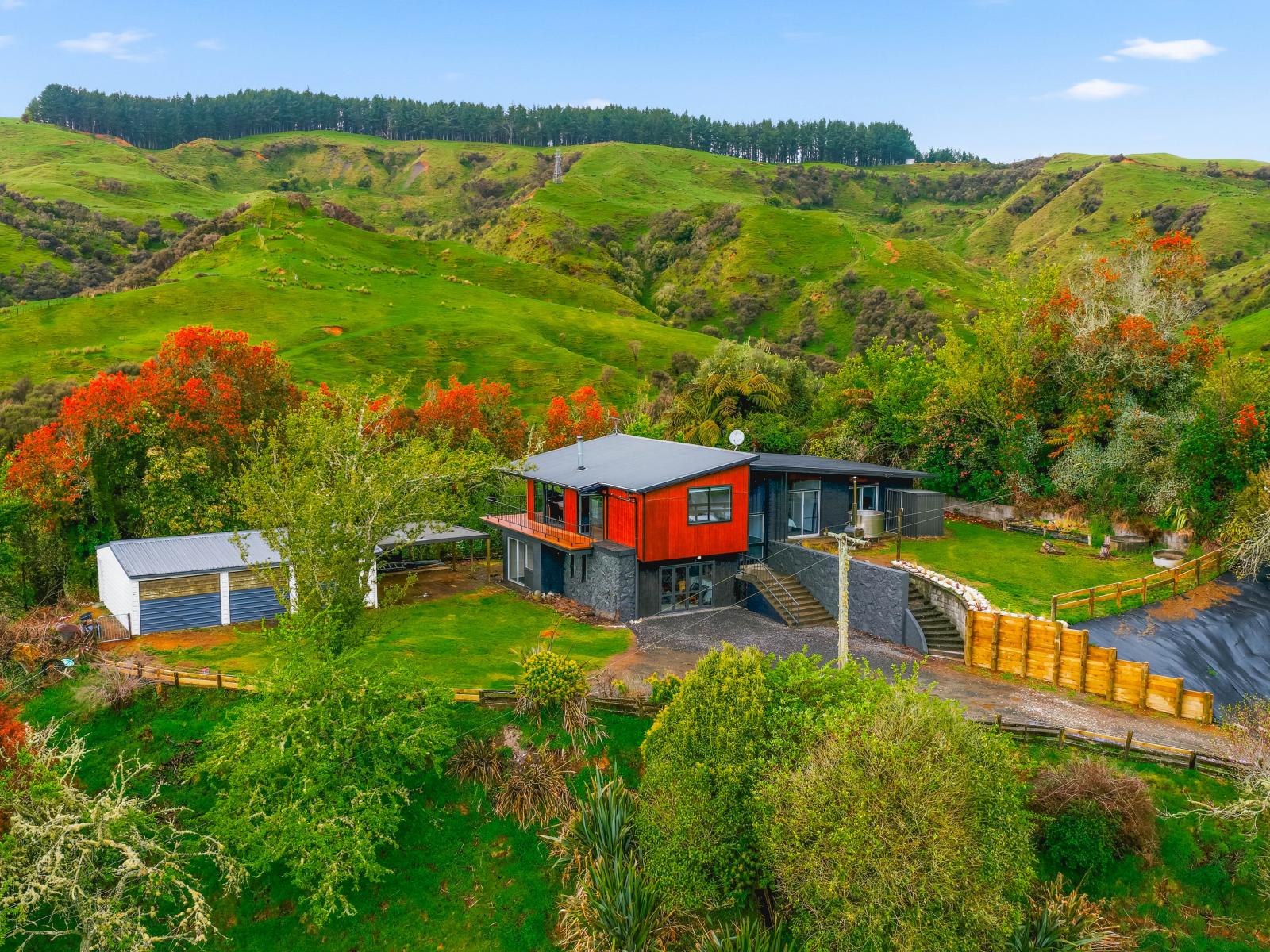 3434 State Highway 4, Aria