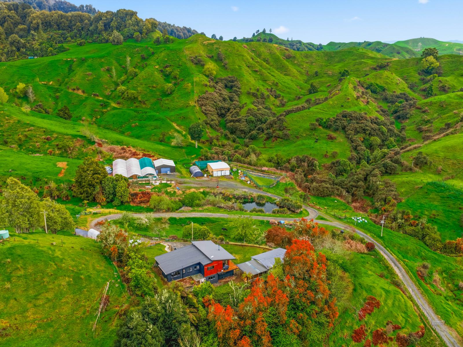 3434 State Highway 4, Aria