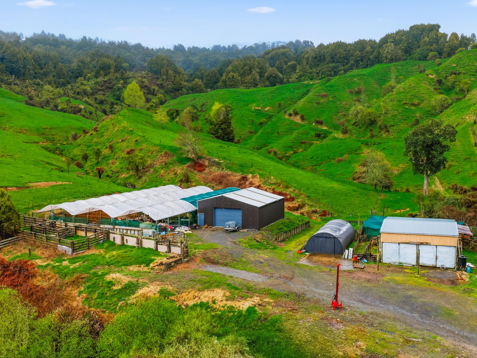 3434 State Highway 4, Aria