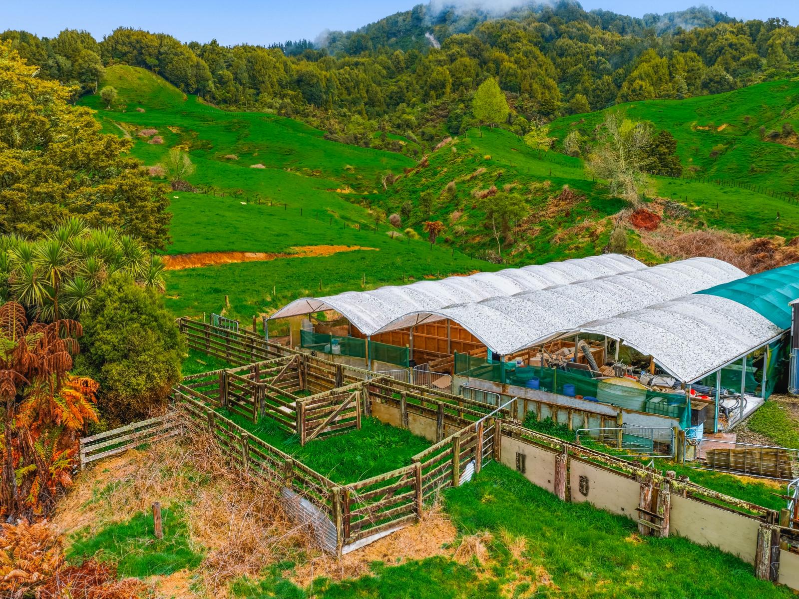 3434 State Highway 4, Aria