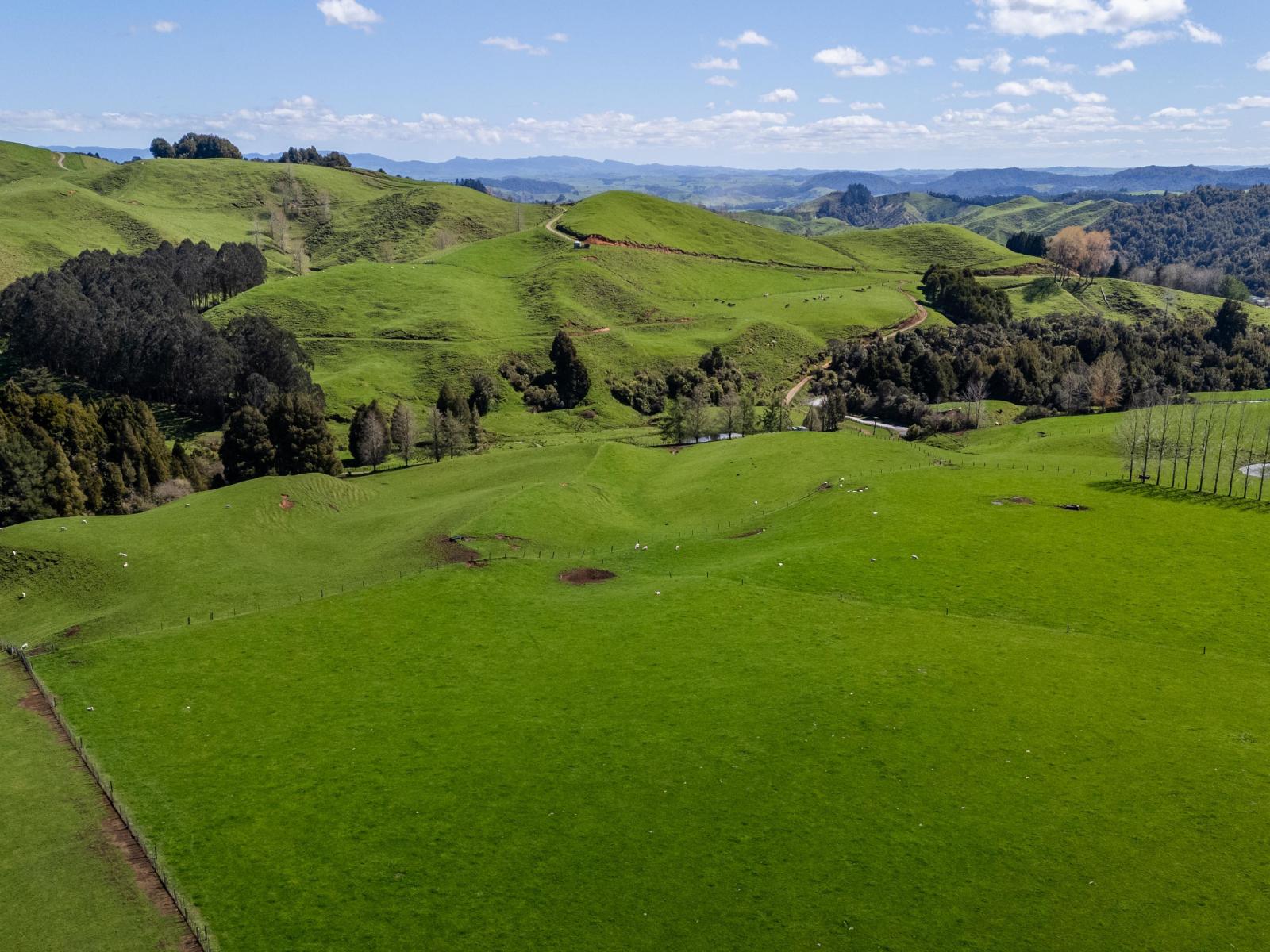 2057 Ohura Mokau Road, Taumarunui