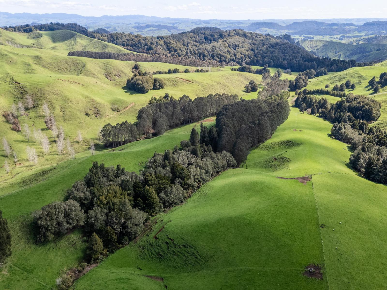 2057 Ohura Mokau Road, Taumarunui