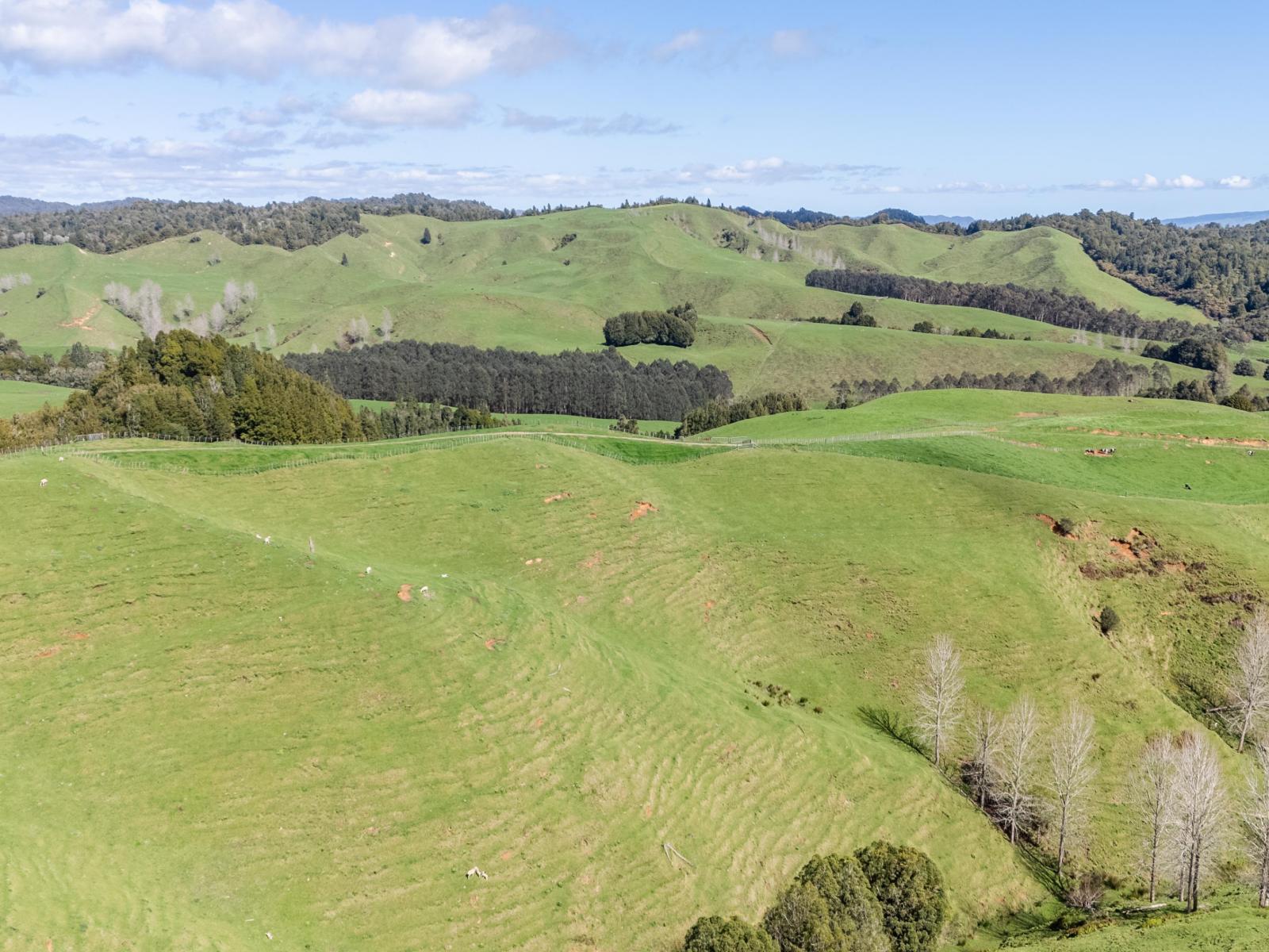 2057 Ohura Mokau Road, Taumarunui