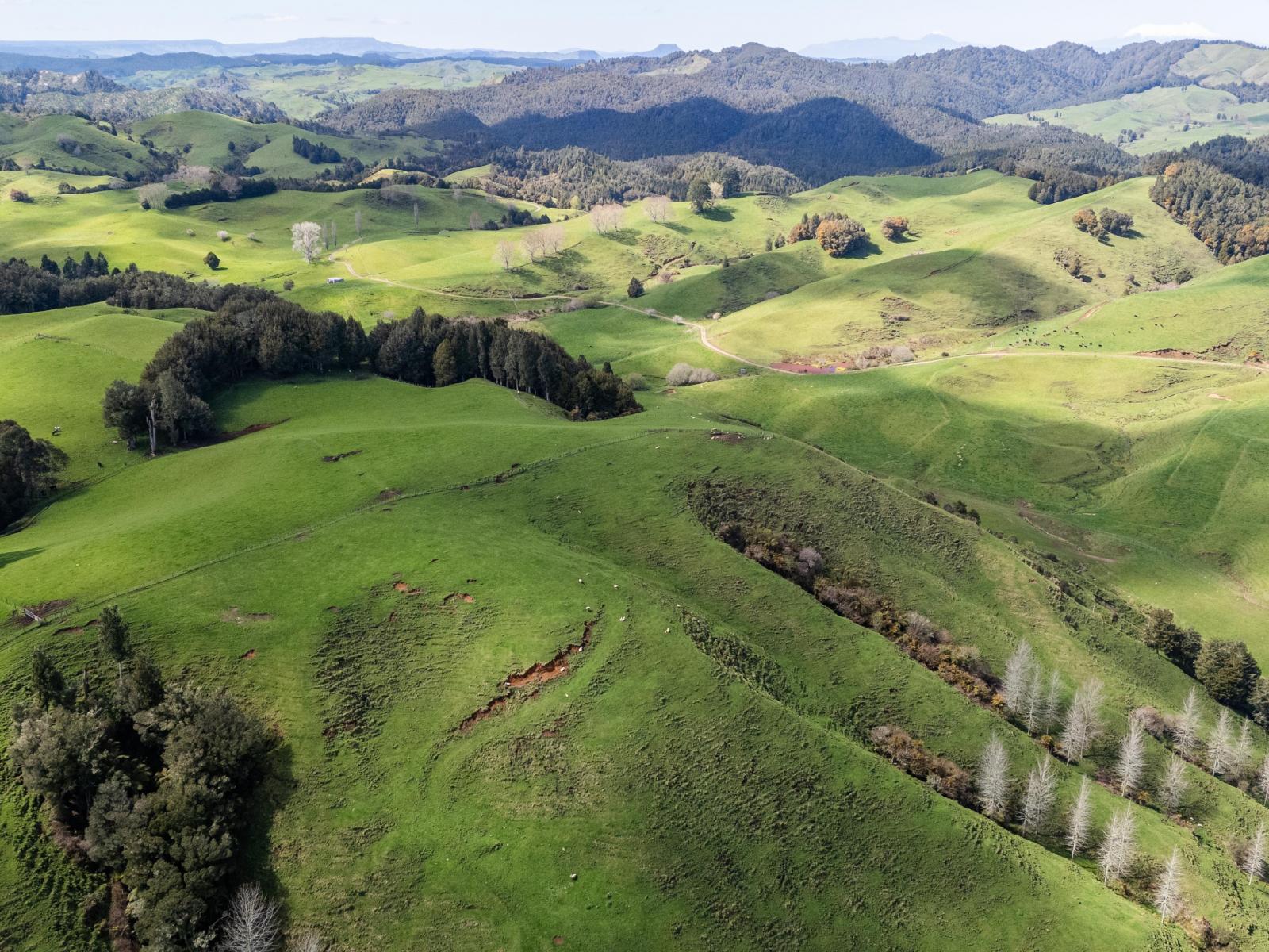 2057 Ohura Mokau Road, Taumarunui