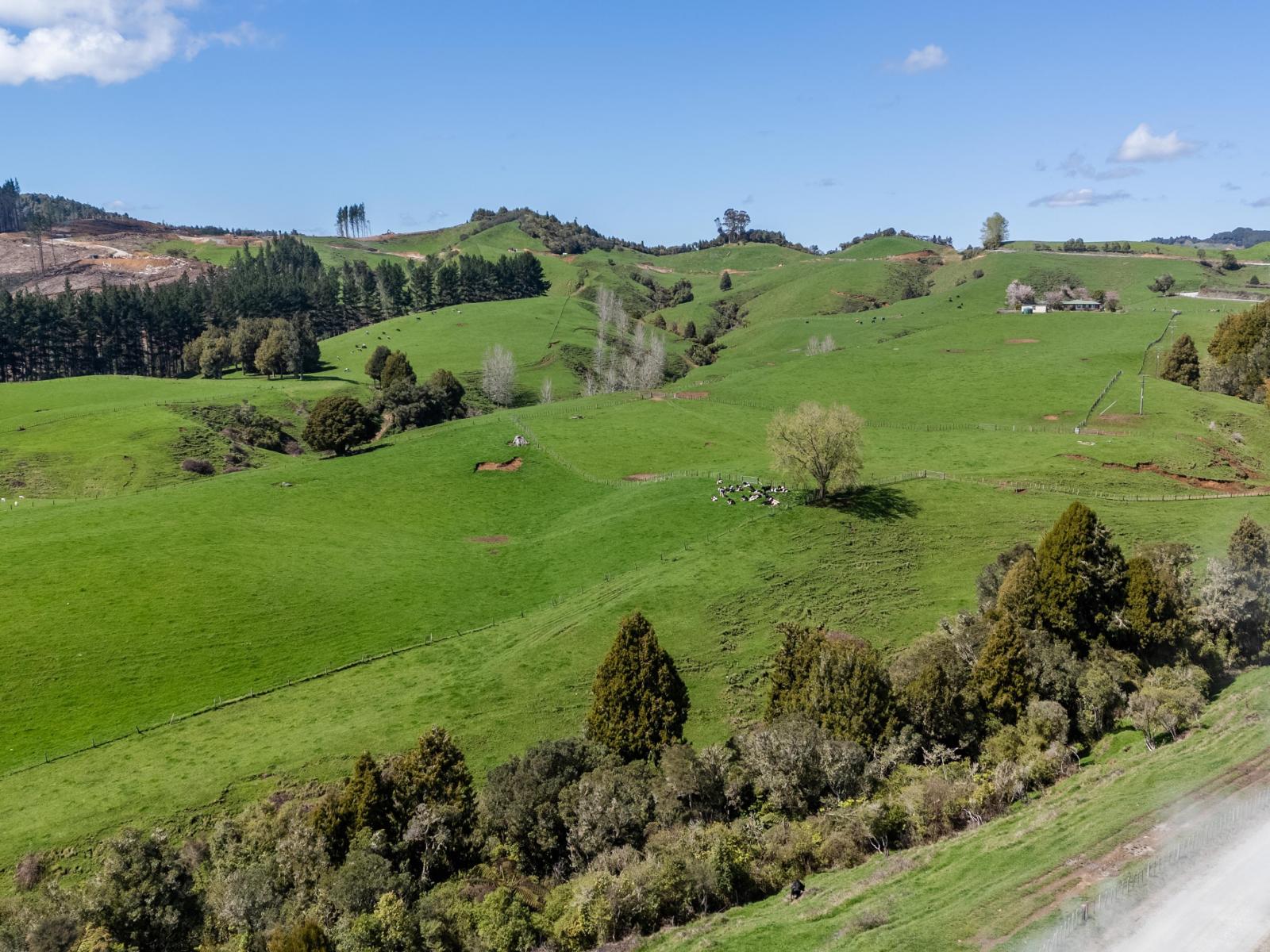 2057 Ohura Mokau Road, Taumarunui