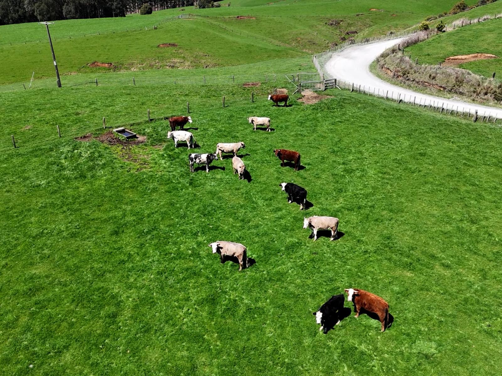 2057 Ohura Mokau Road, Taumarunui