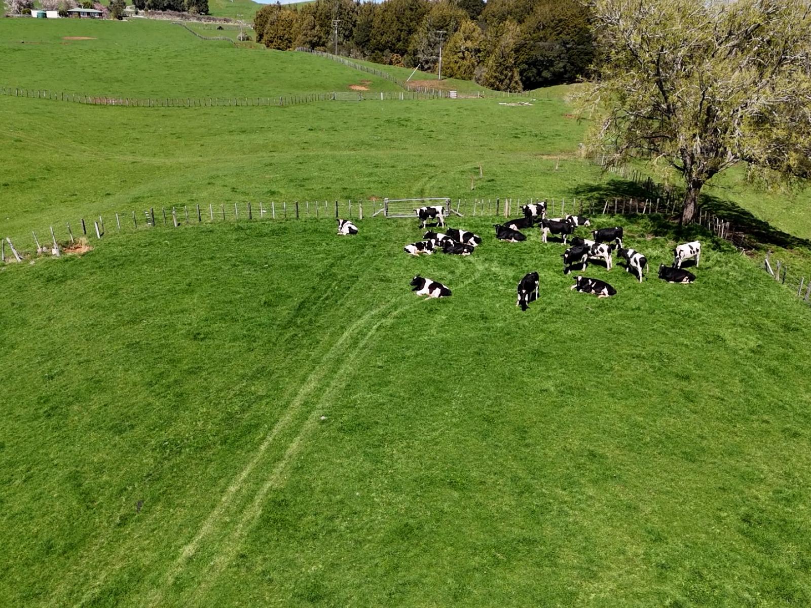 2057 Ohura Mokau Road, Taumarunui