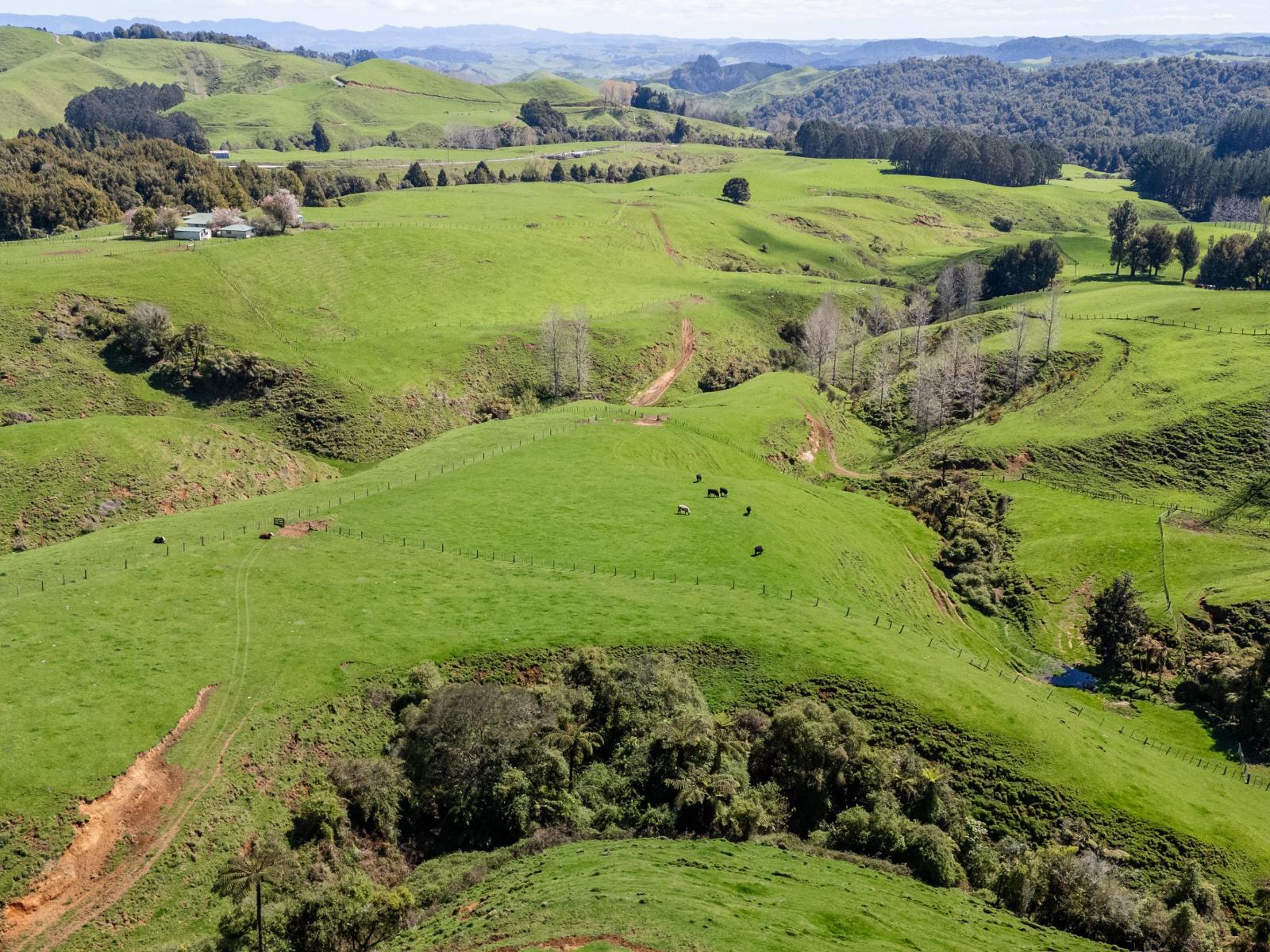 2057 Ohura Mokau Road, Taumarunui