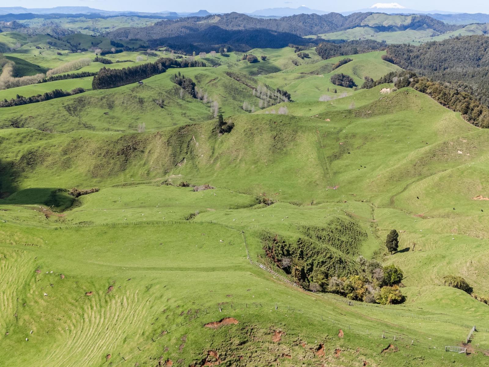2057 Ohura Mokau Road, Taumarunui