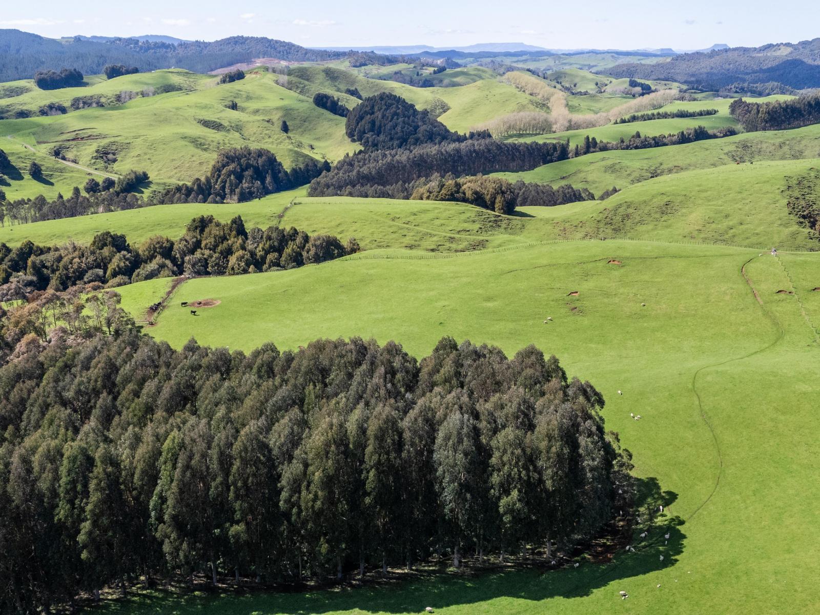 2057 Ohura Mokau Road, Taumarunui