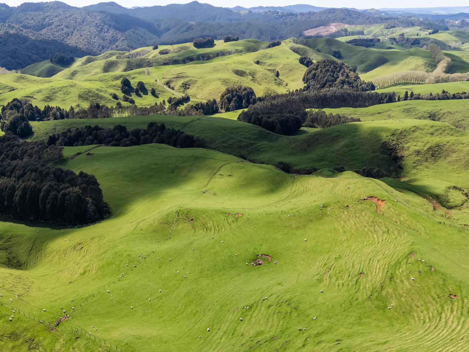2057 Ohura Mokau Road, Taumarunui
