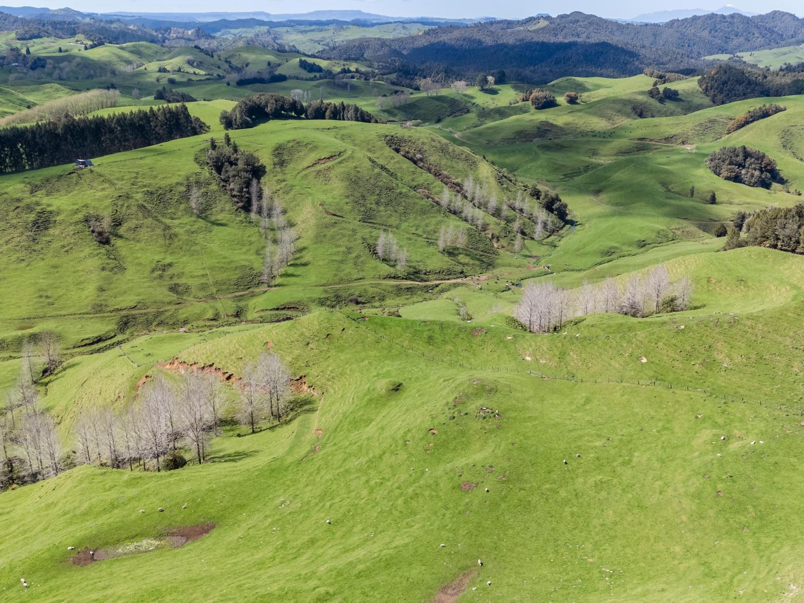 2057 Ohura Mokau Road, Taumarunui
