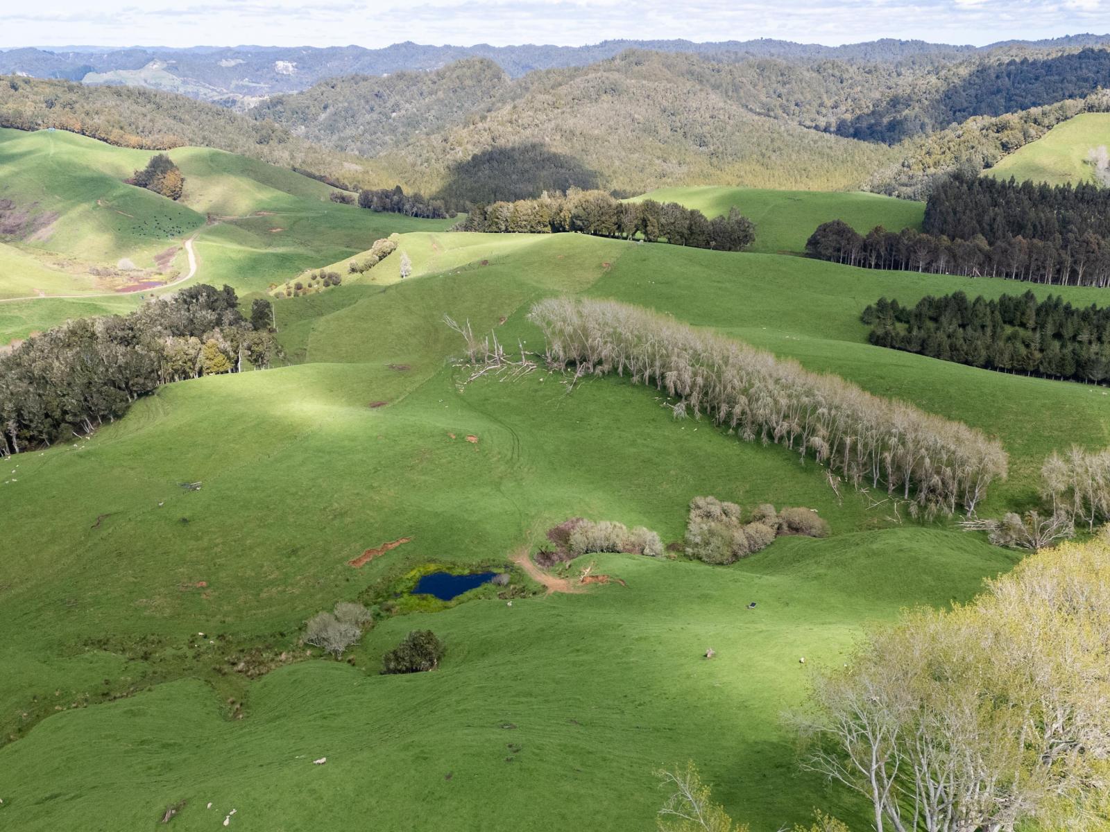 2057 Ohura Mokau Road, Taumarunui