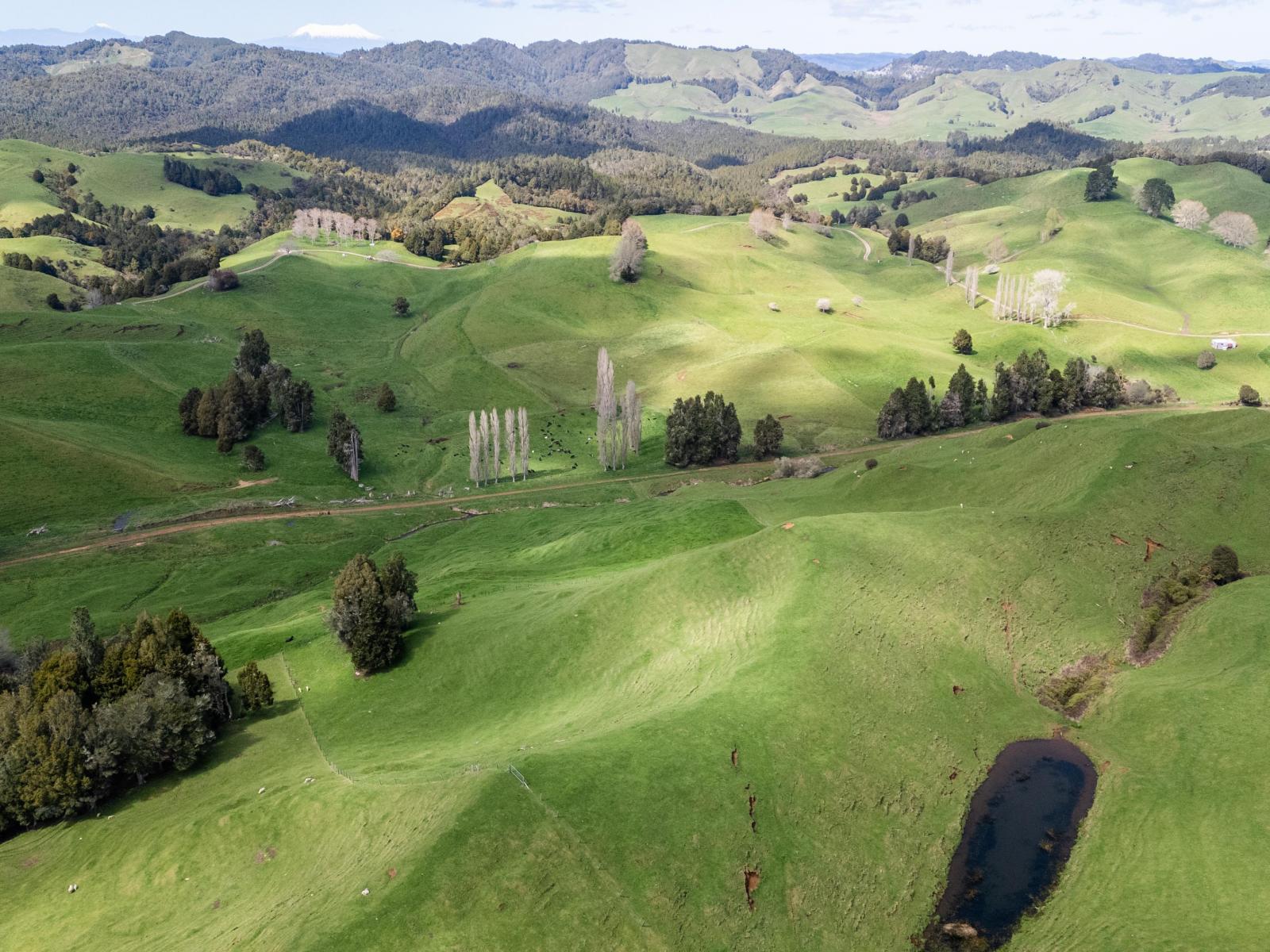 2057 Ohura Mokau Road, Taumarunui