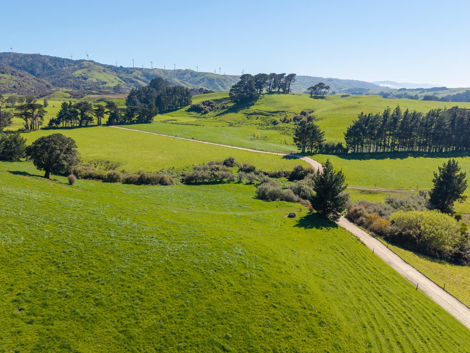 100 Inglis Road, Pahiatua