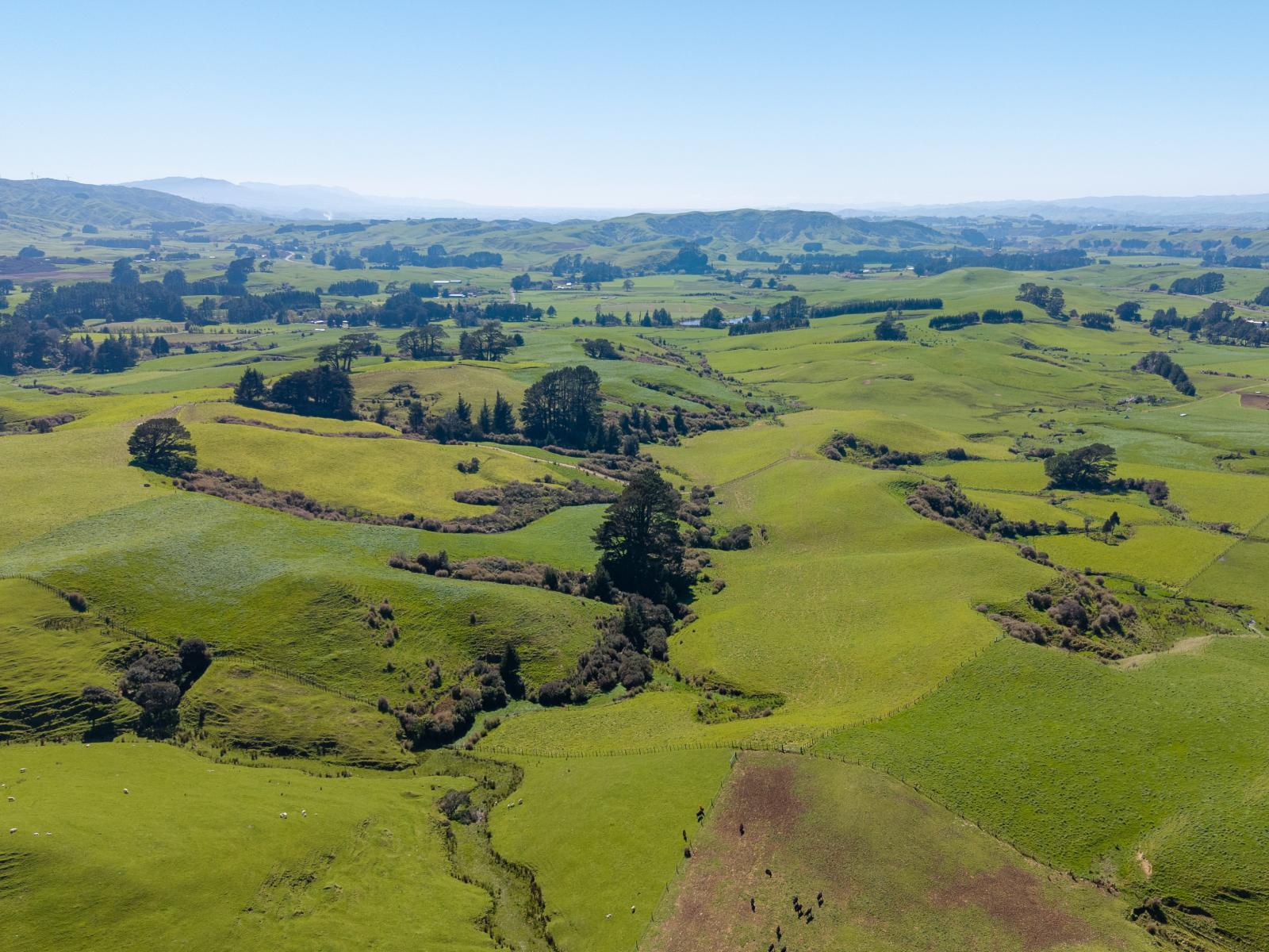 100 Inglis Road, Pahiatua