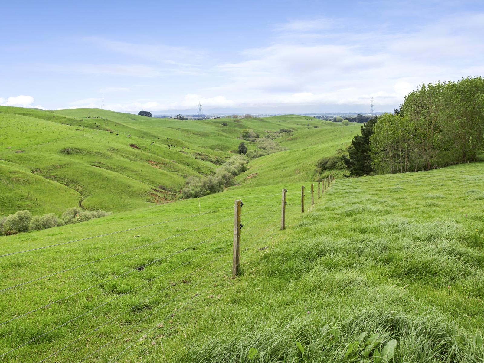 897 and 637 Tahuroa Road, Morrinsville
