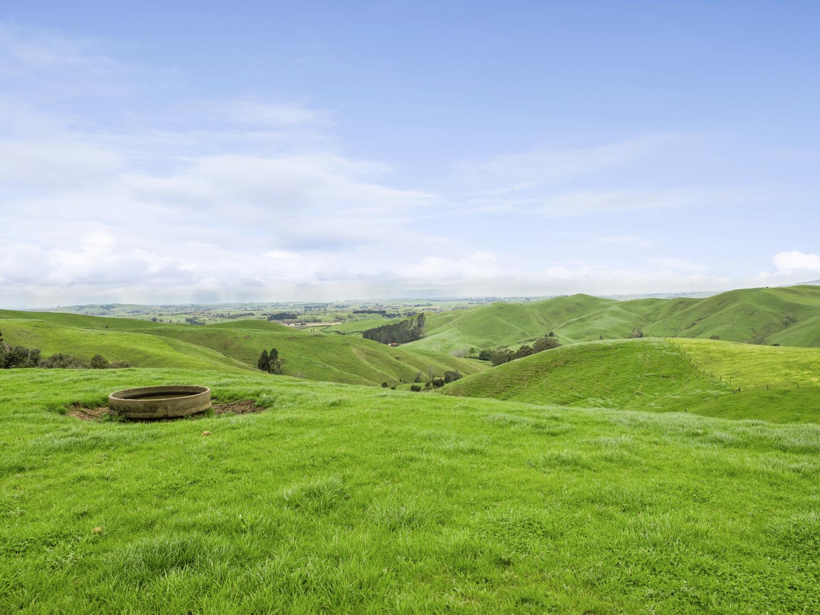 897 and 637 Tahuroa Road, Morrinsville