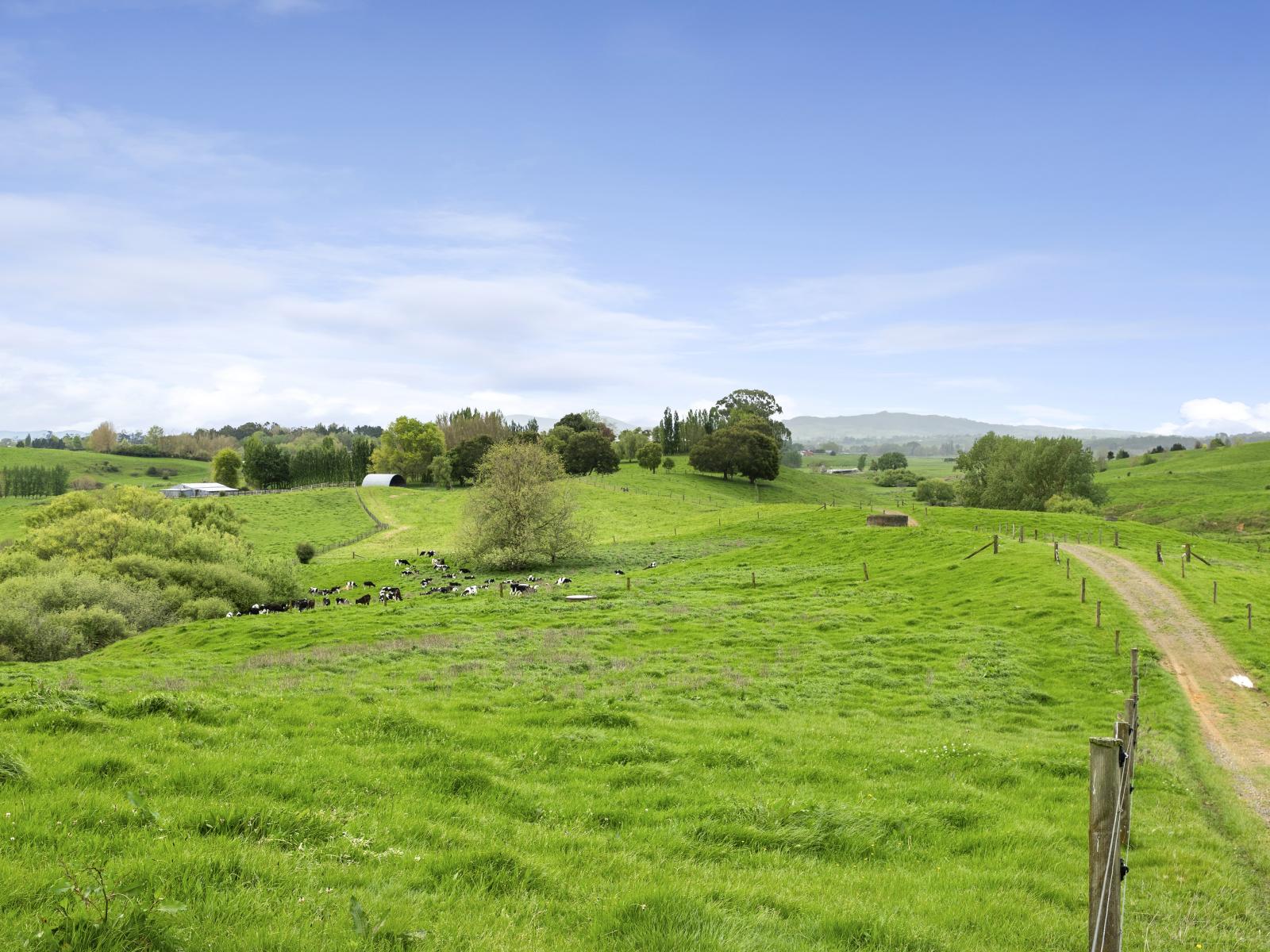 897 and 637 Tahuroa Road, Morrinsville