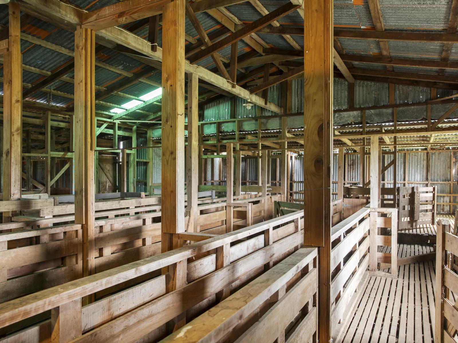 897 and 637 Tahuroa Road, Morrinsville