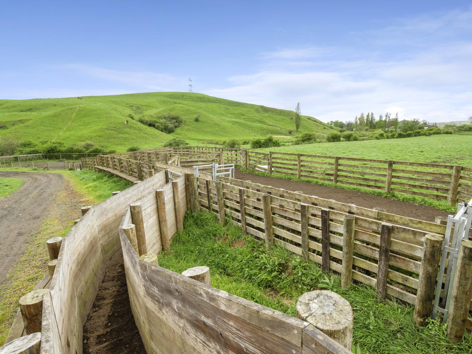897 and 637 Tahuroa Road, Morrinsville