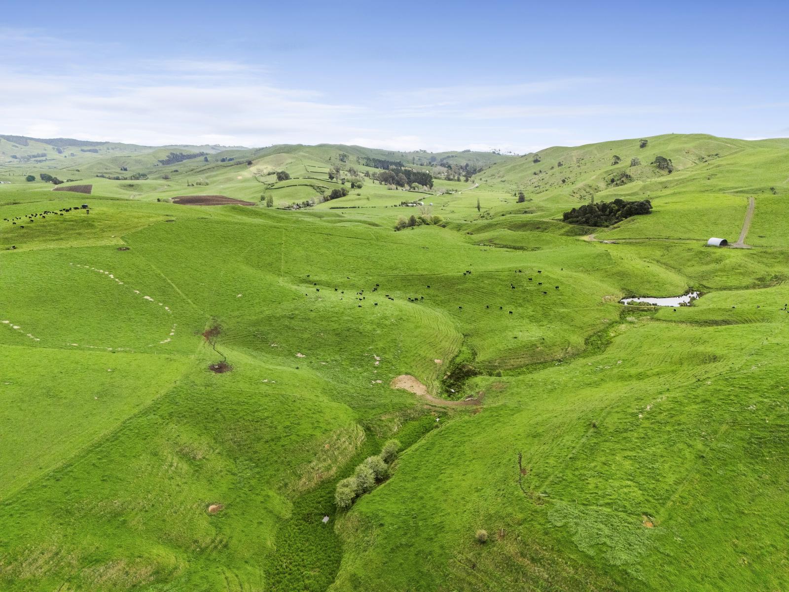 897 and 637 Tahuroa Road, Morrinsville
