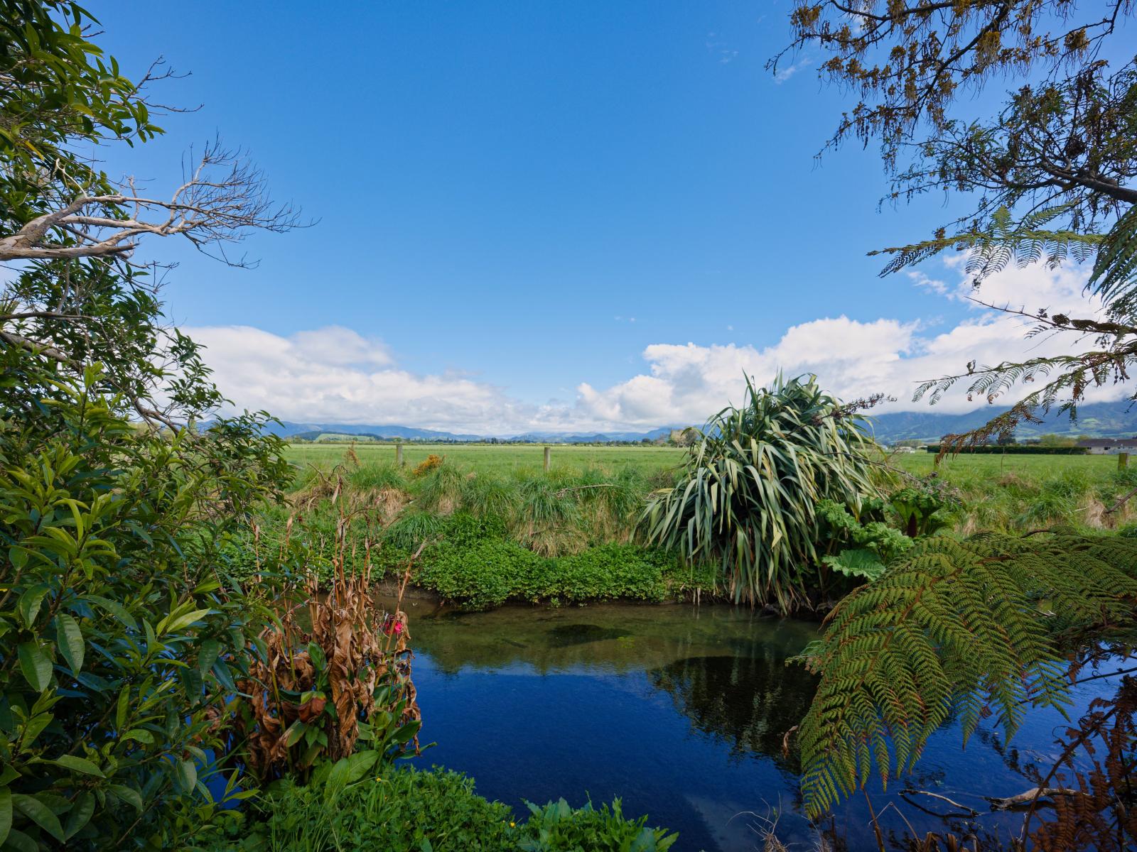 203B Beach Road, Kaikoura