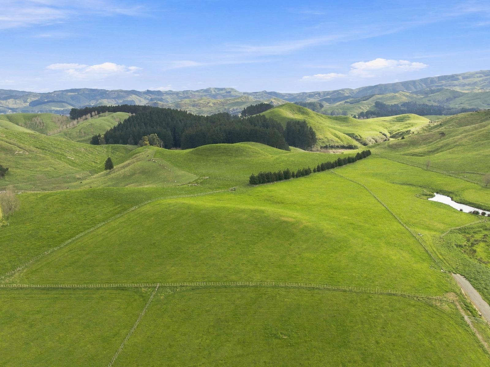 447 Pinfold Road, Papatawa