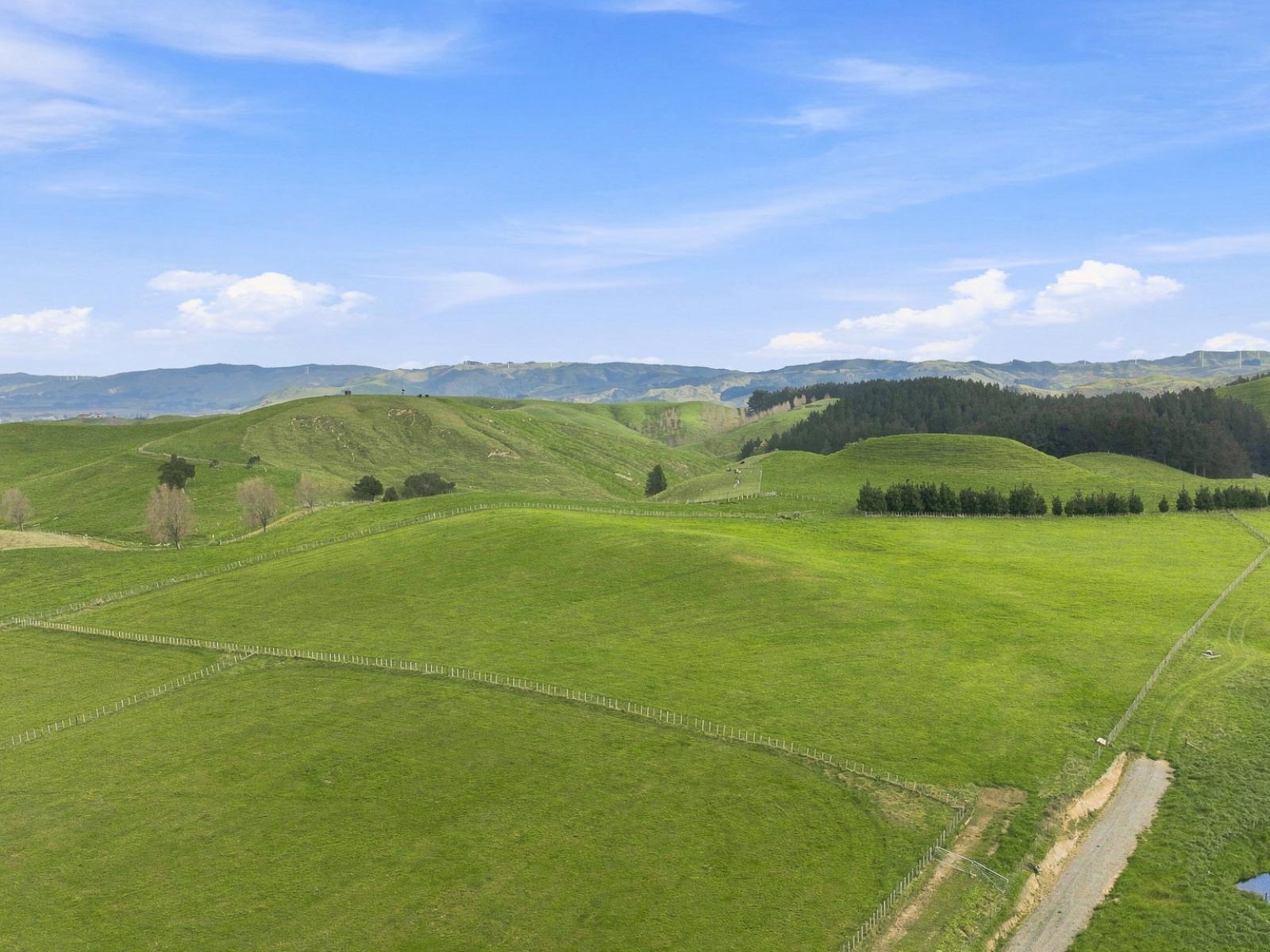 447 Pinfold Road, Papatawa