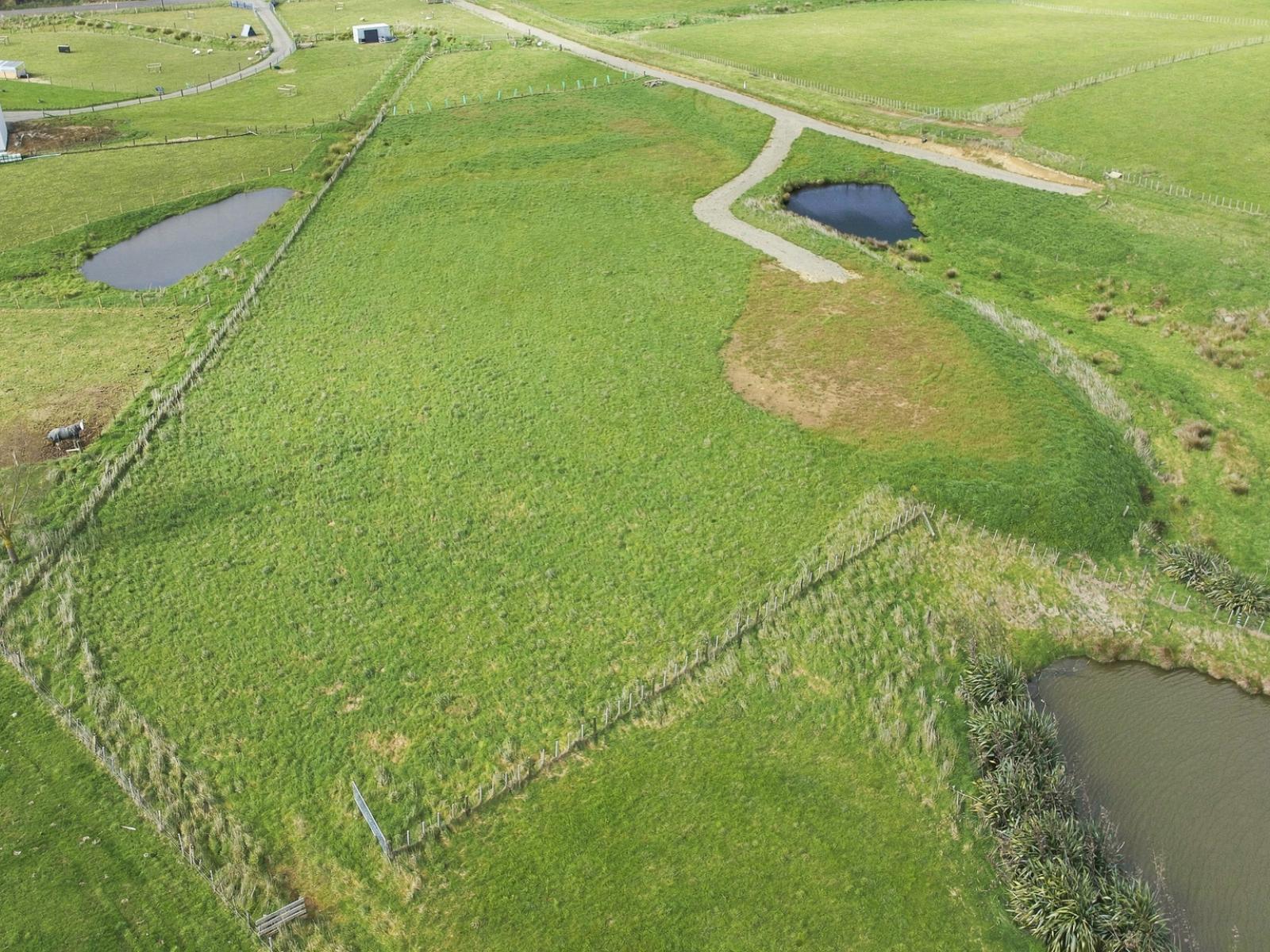 449A Pinfold Road, Woodville