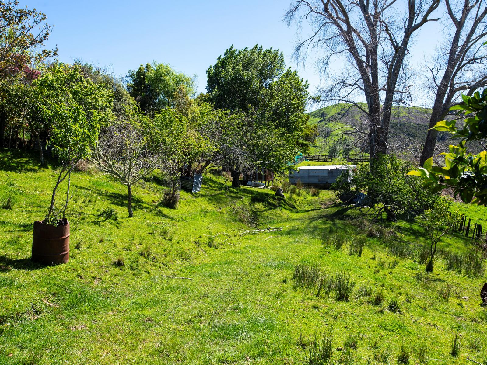 150 Waiomoko Road, Whangara