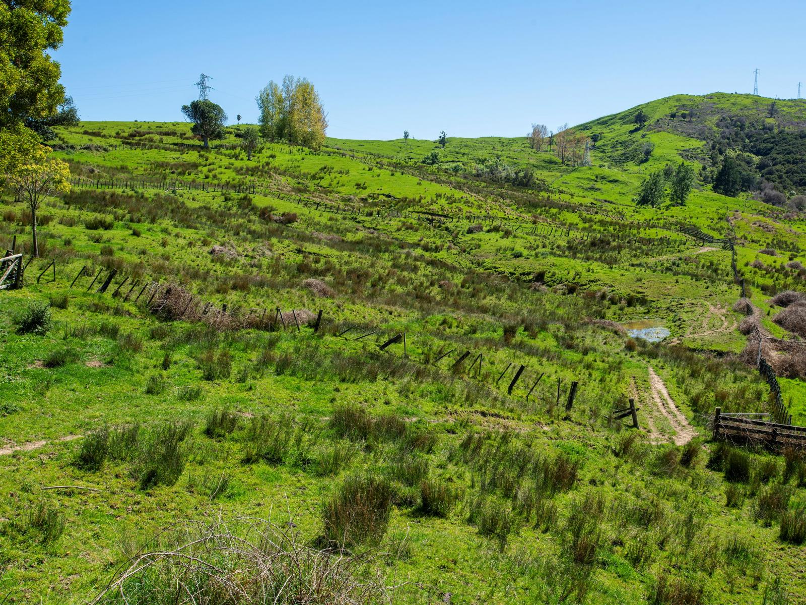 150 Waiomoko Road, Whangara