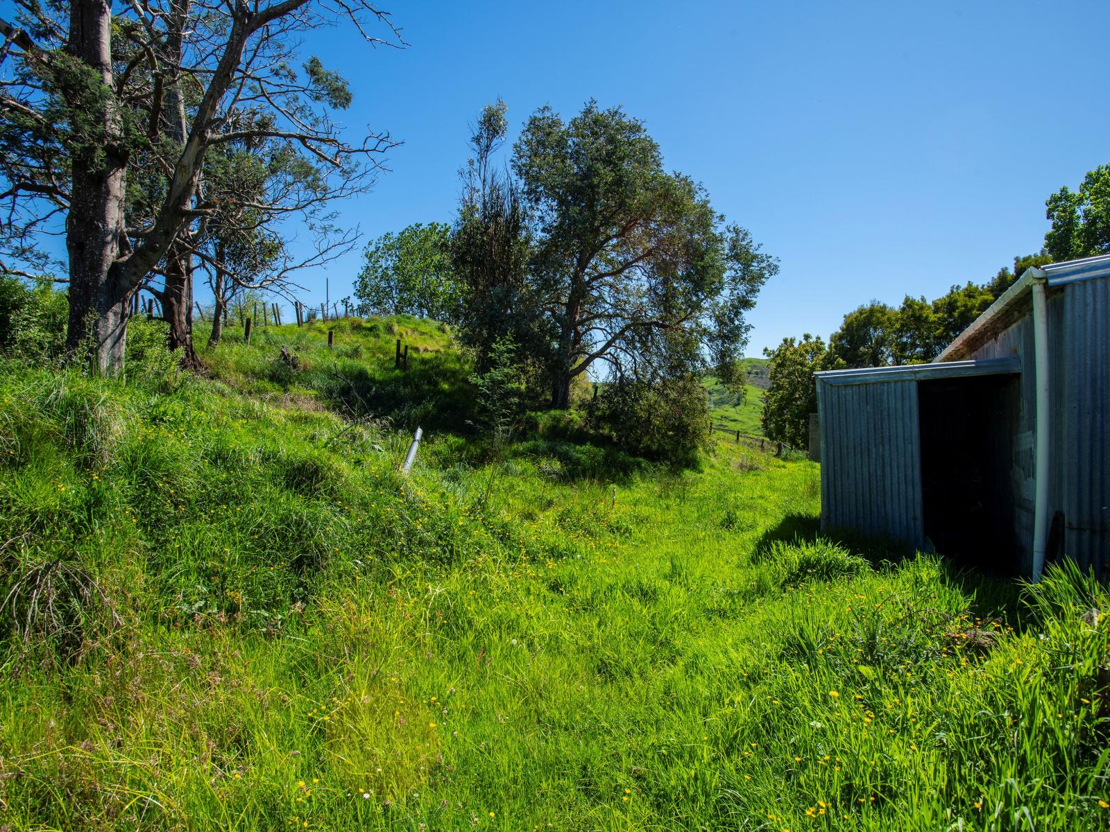 150 Waiomoko Road, Whangara