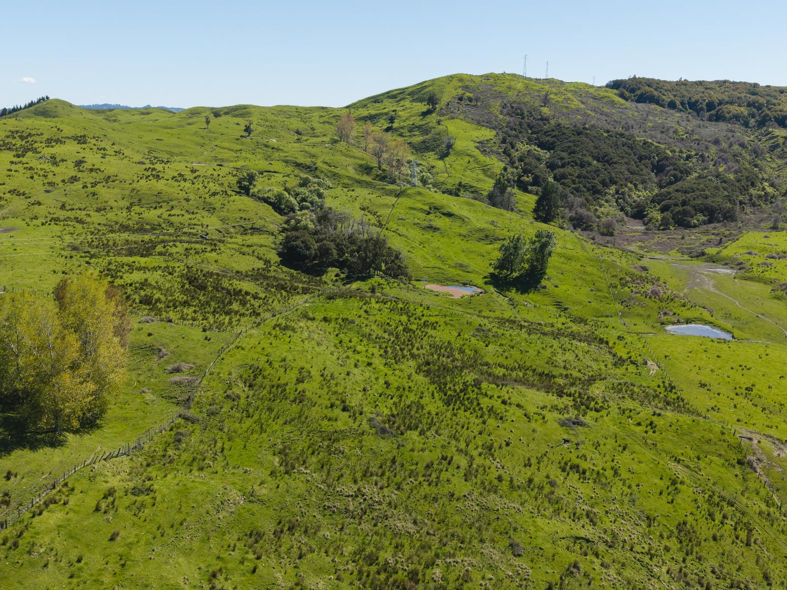 150 Waiomoko Road, Whangara