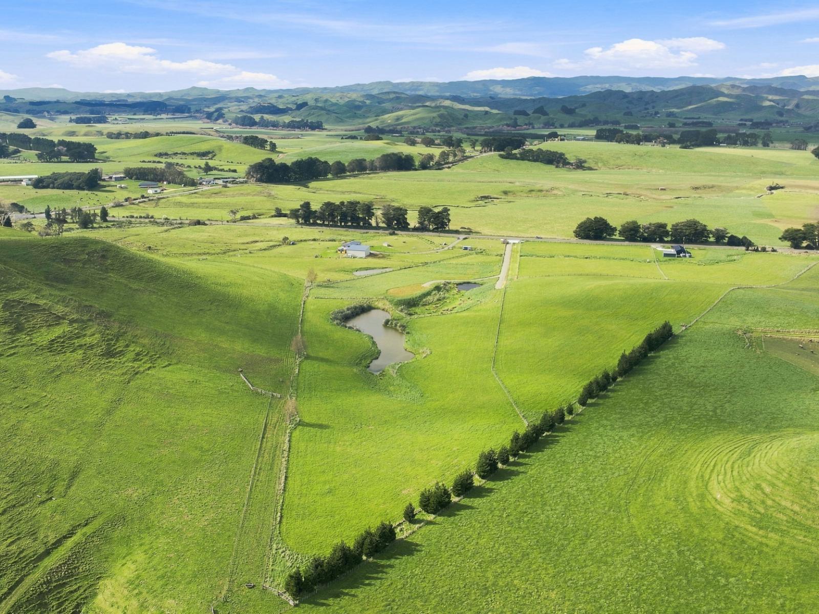 449B Pinfold Road, Woodville