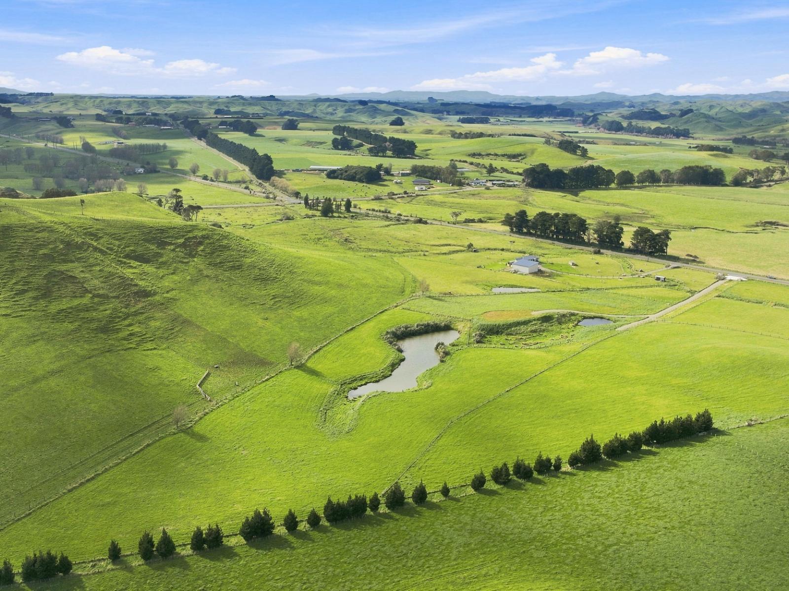 449B Pinfold Road, Woodville