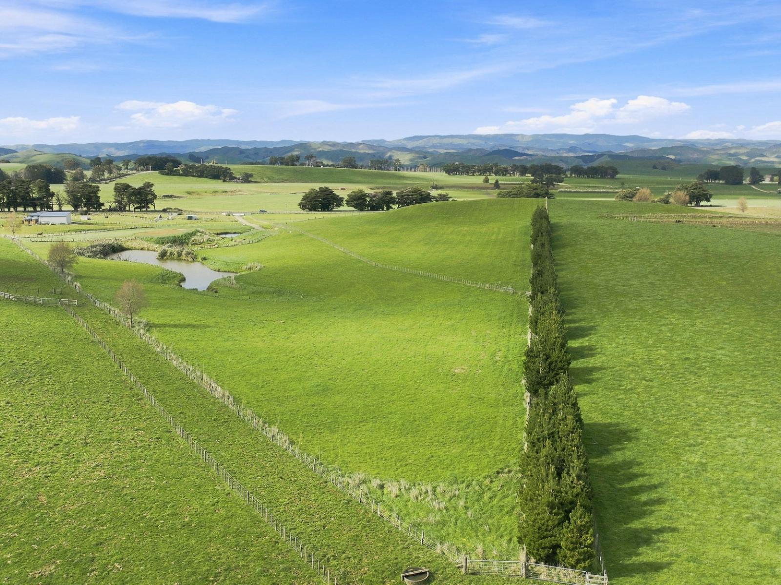 449B Pinfold Road, Woodville