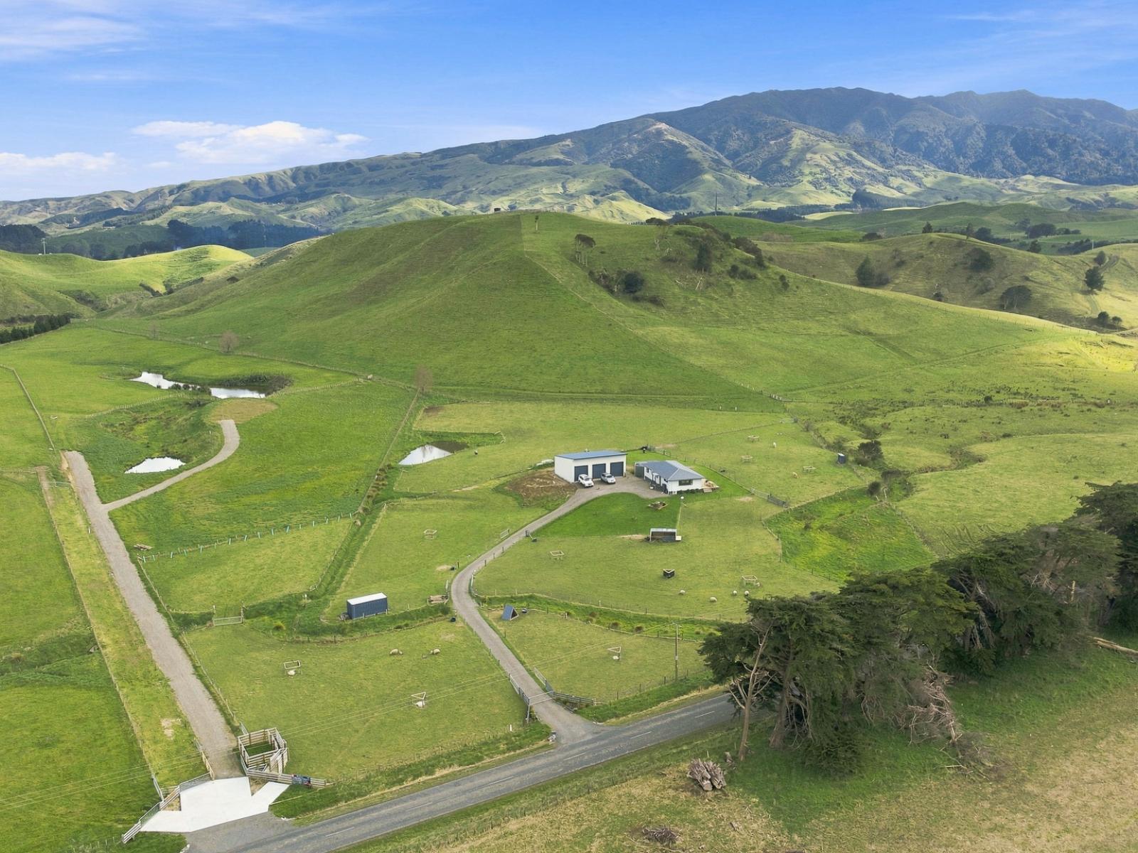 449B Pinfold Road, Woodville