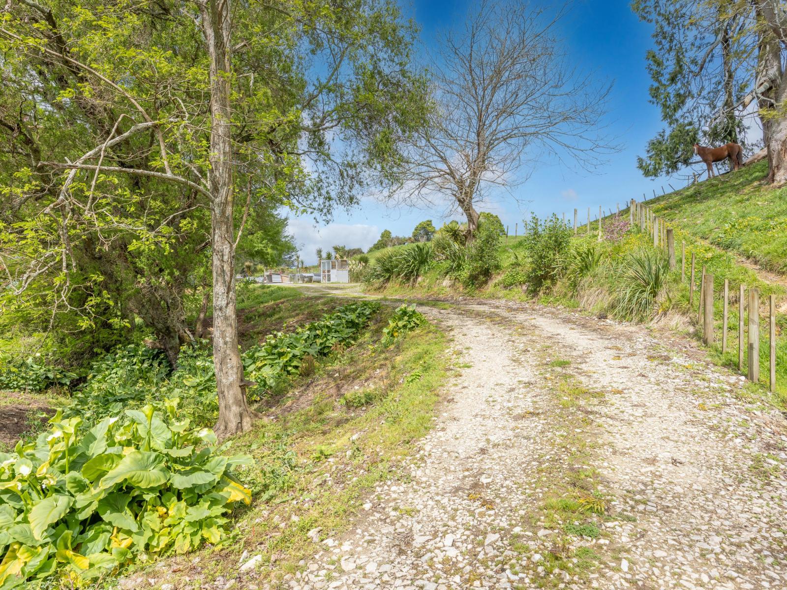 1538A State Highway 3, Te Kuiti