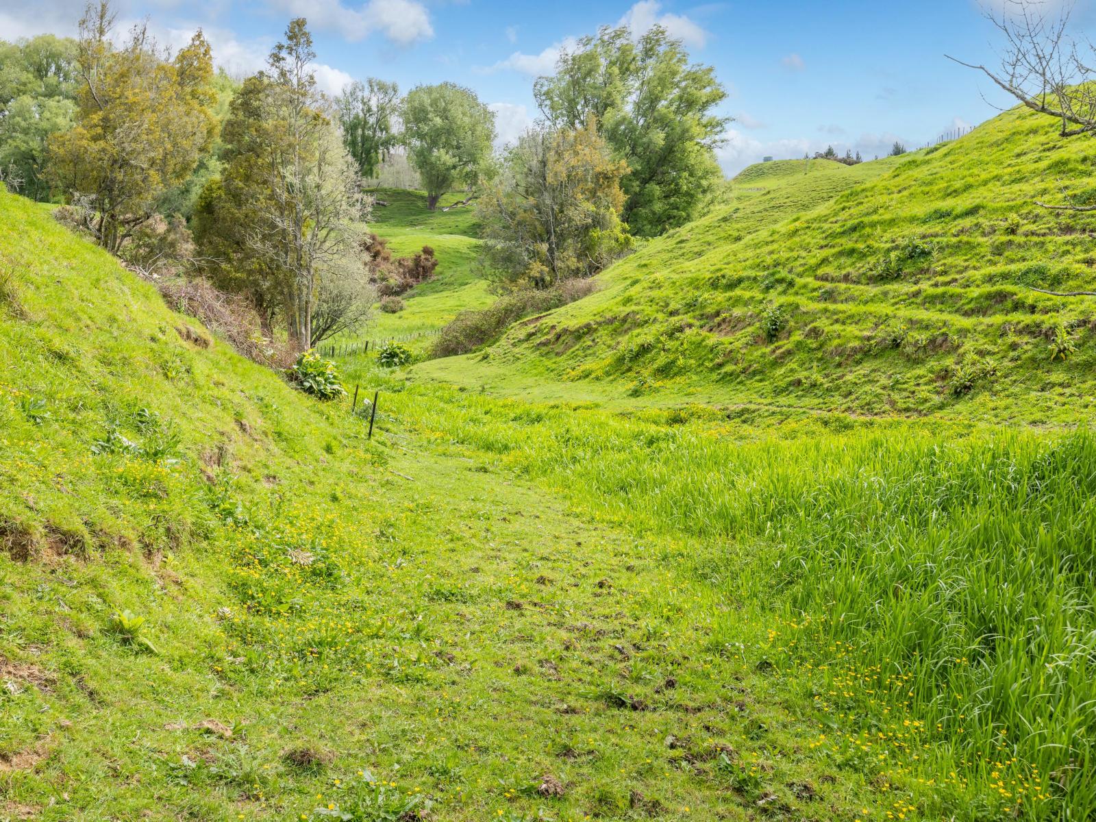 1538A State Highway 3, Te Kuiti