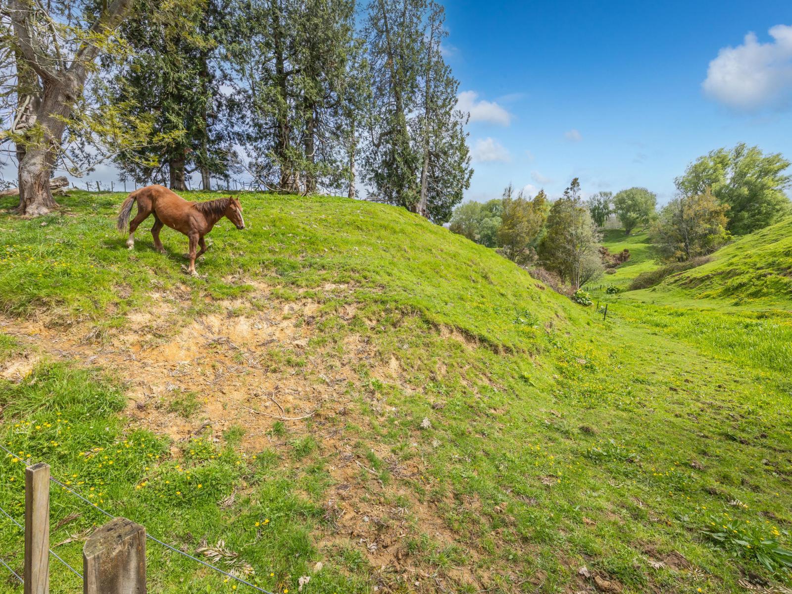 1538A State Highway 3, Te Kuiti