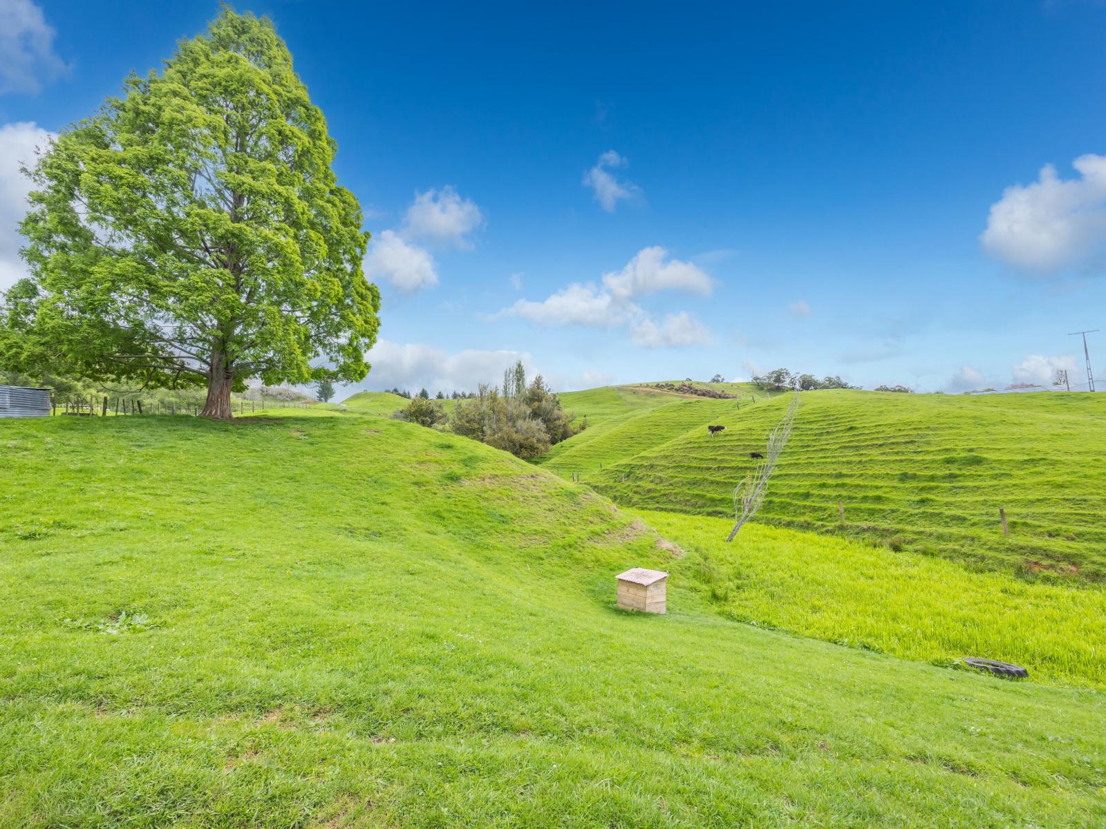 1538A State Highway 3, Te Kuiti