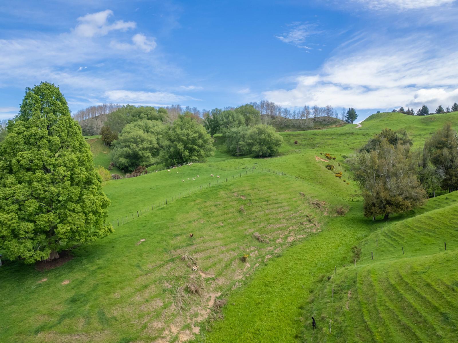 1538A State Highway 3, Te Kuiti