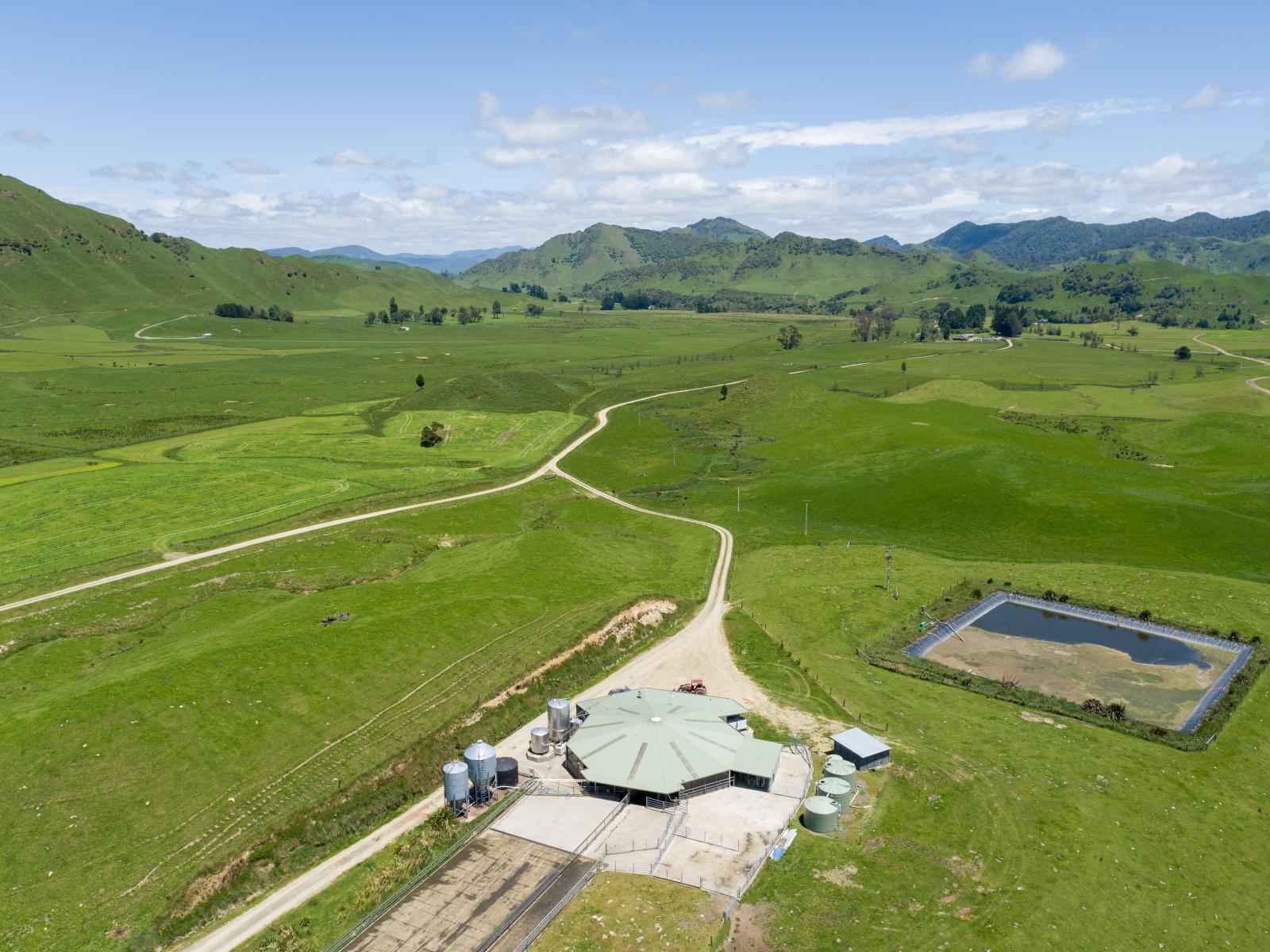 313 Te Wera Road, Matawai