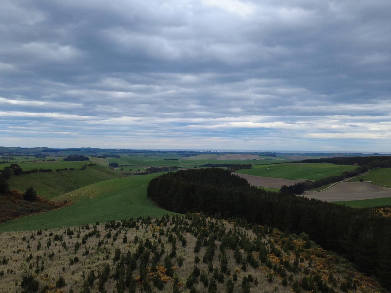 The Dasher Road, Maraeweka