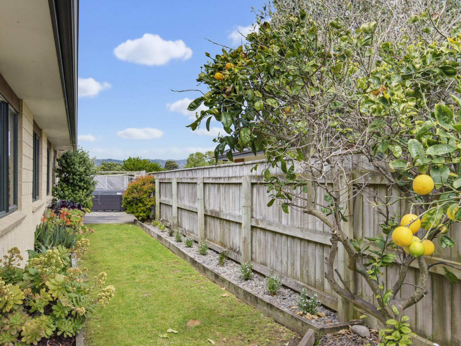 1 William Noel Place, Waikanae Beach