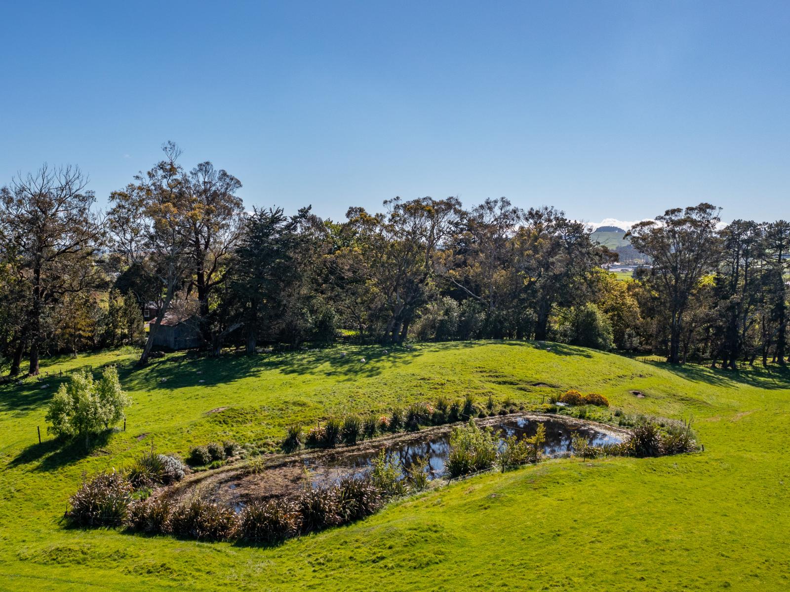 295 Porangahau Road, Waipukurau