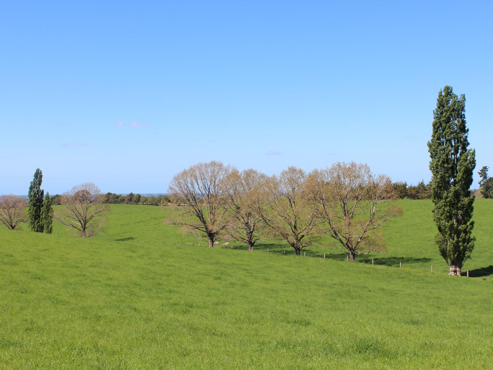 49 McCully Road, Temuka