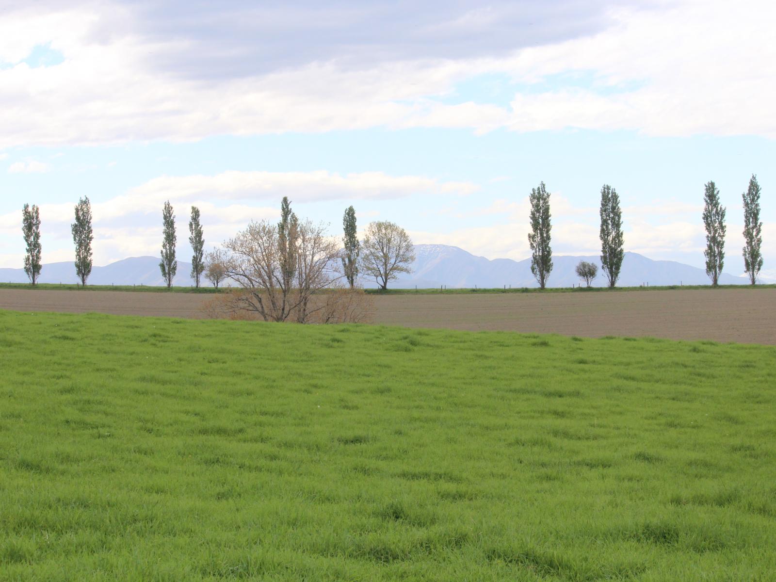49 McCully Road, Temuka